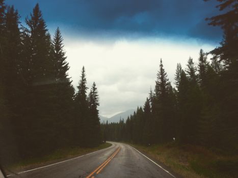 A picturesque road winding through a mountain pine forest under a cloudy sky.