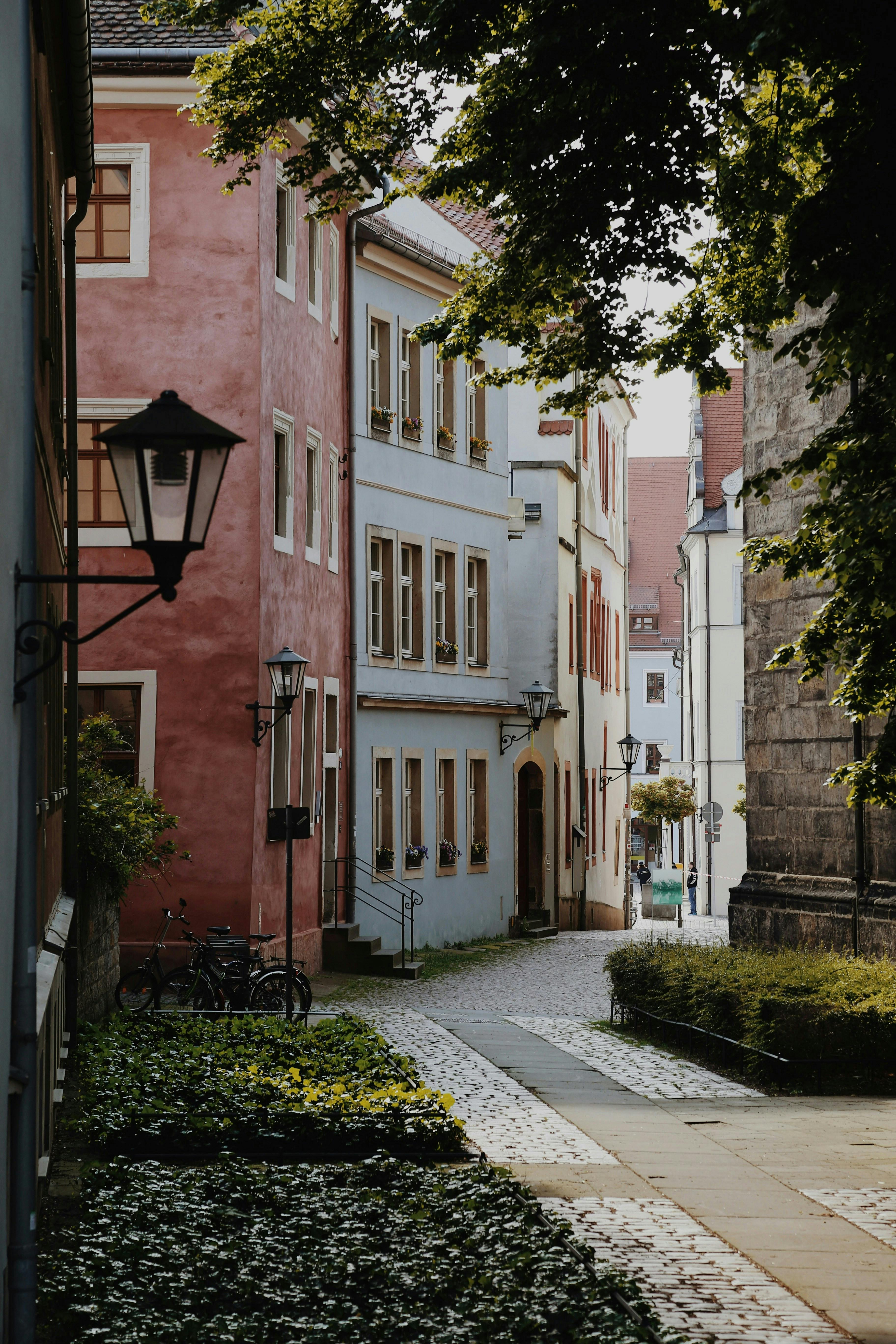 A picturesque alleyway in Dresden, Germany with historic townhouses and lush greenery.