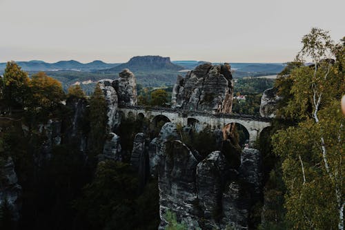 Imagine de stoc gratuită din apă, apă curgătoare, arbore