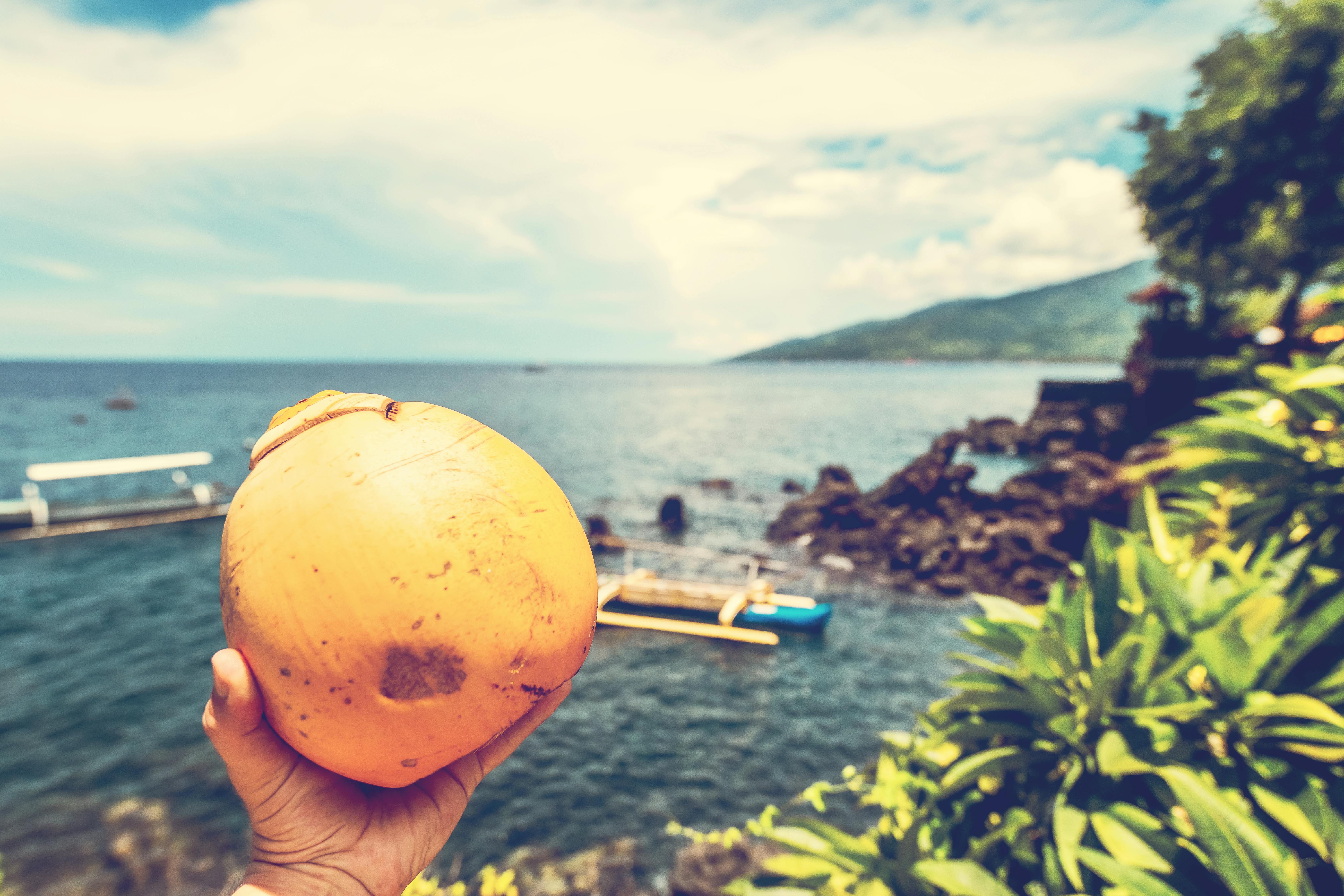 Selective Focus Photo of Person Holding Coconut