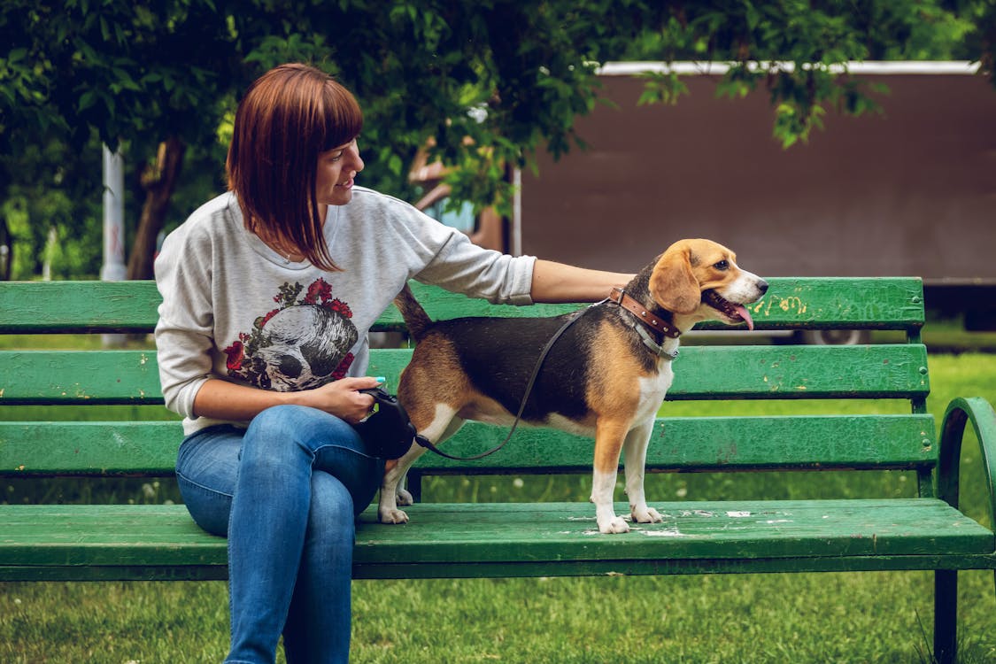 Photo of Woman Sitting on Bench Beside a Beagle