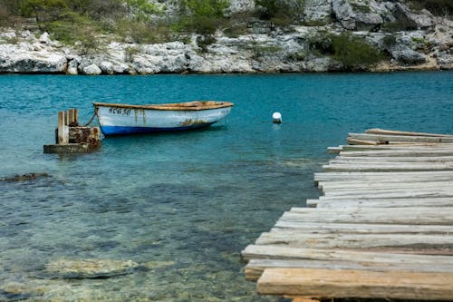 White and Blue Wooden Canoe Boat