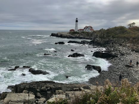 Port Elizabeth, South Africa photo 18