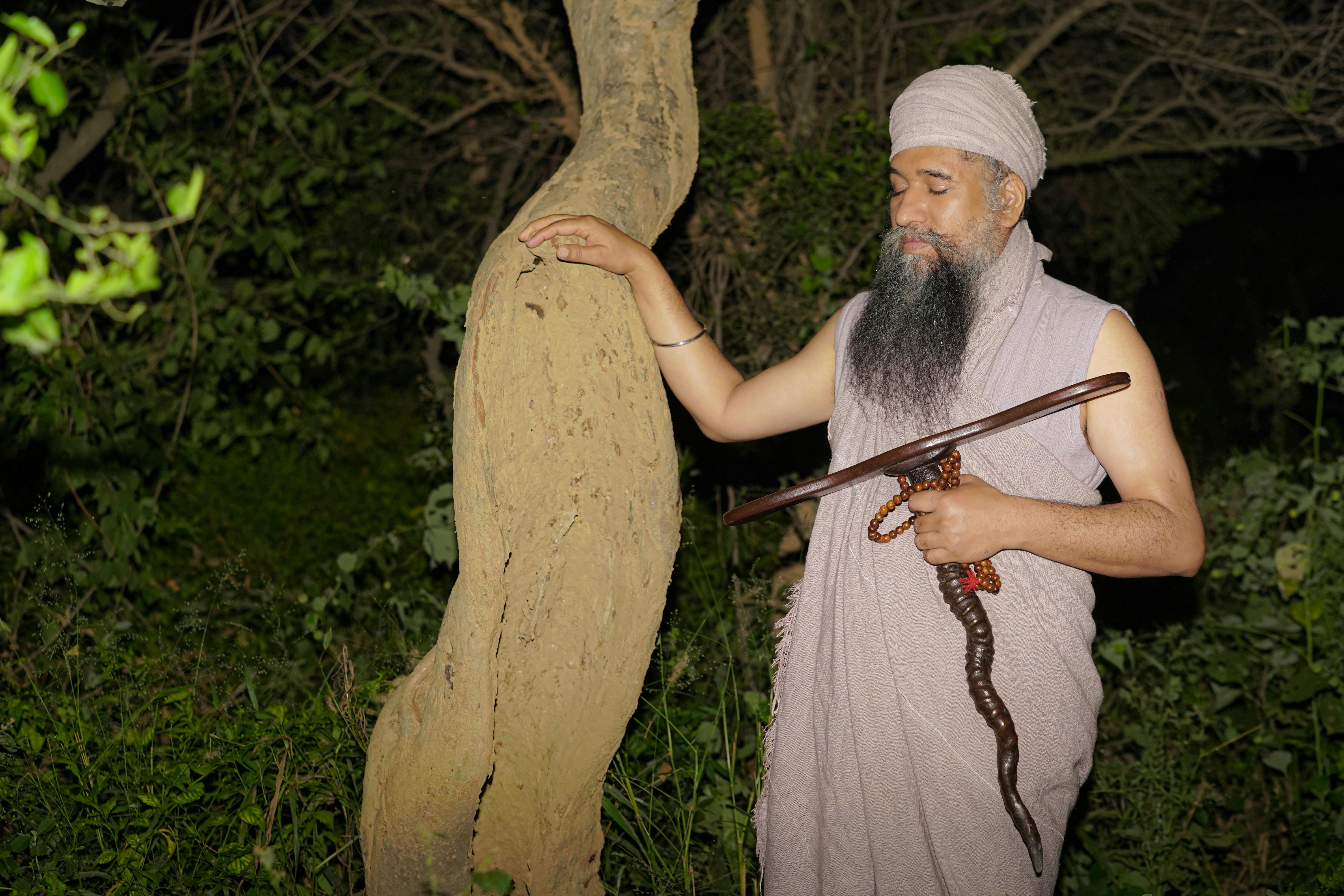 Discover the Magic of Guided Tours in Mystical Woods