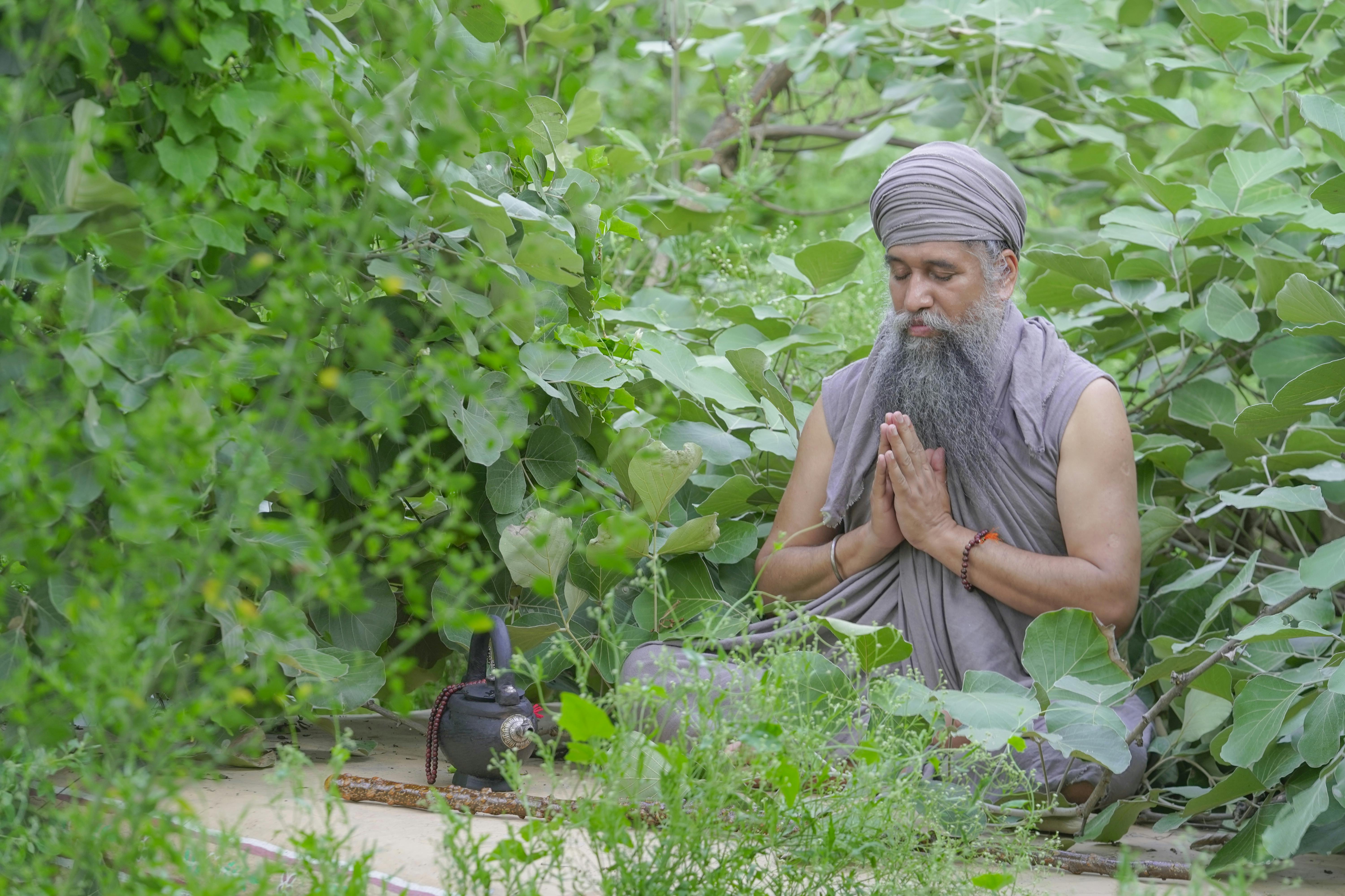 a man sitting in a garden