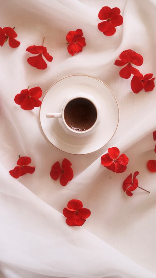 คลังภาพถ่ายฟรี ของ การประดับ, กาแฟ, ดอกไม้สีแดง