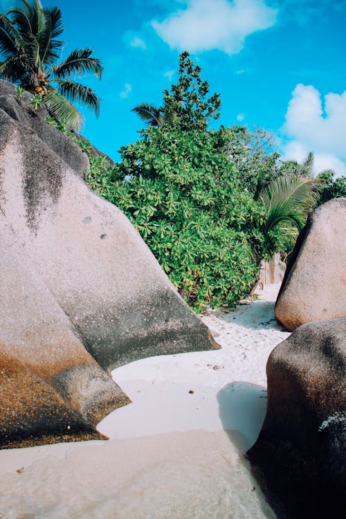 Безкоштовне стокове фото на тему «mahe, берег моря, відпустка»