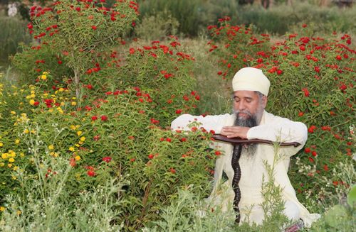 Free A man meditates among vibrant flowers in a tranquil garden setting. Stock Photo