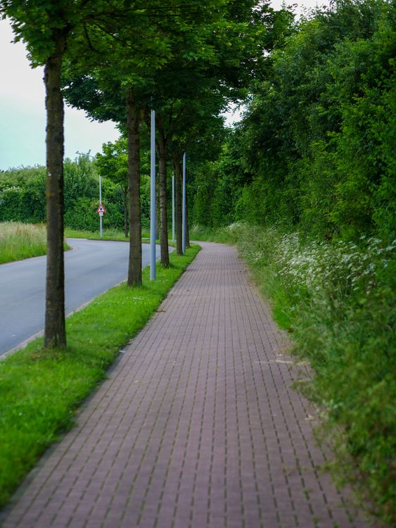A brick paved road · Free Stock Photo