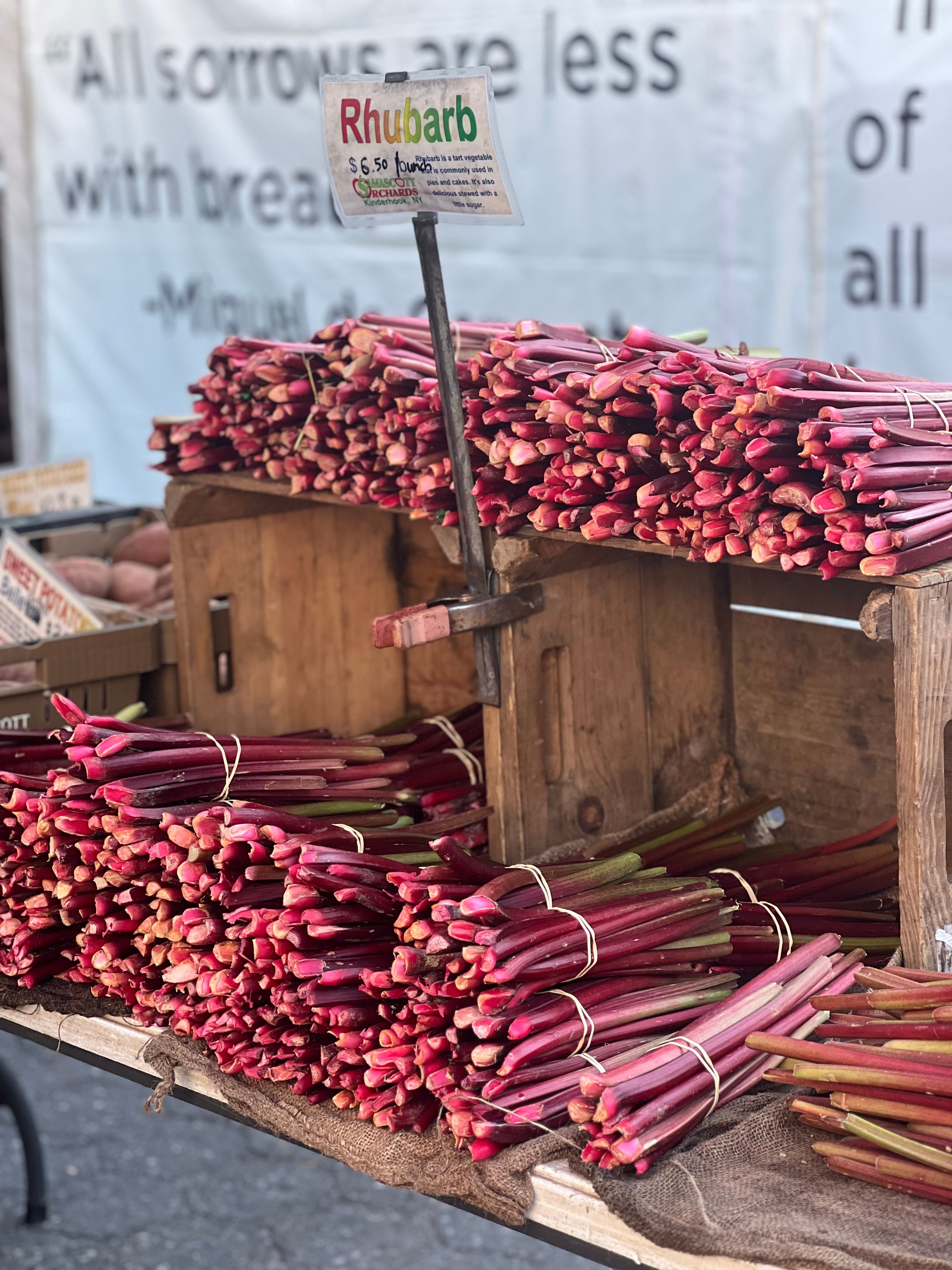 Freshly bundled rhubarb stalks