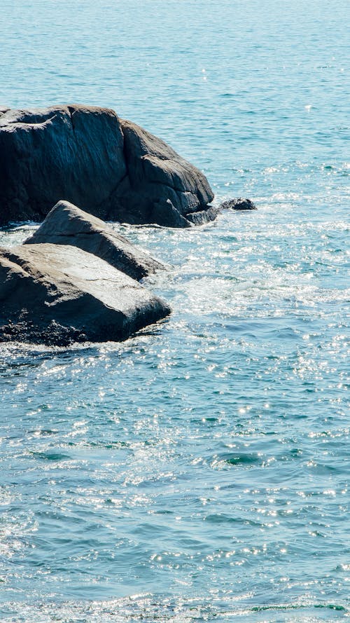 Foto profissional grátis de água, ao ar livre, beira-mar