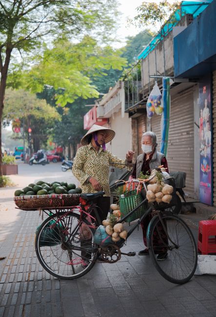 Two women converse at a street market, surrounded by fresh vegetables on a bicycle in a sunlit urban setting.