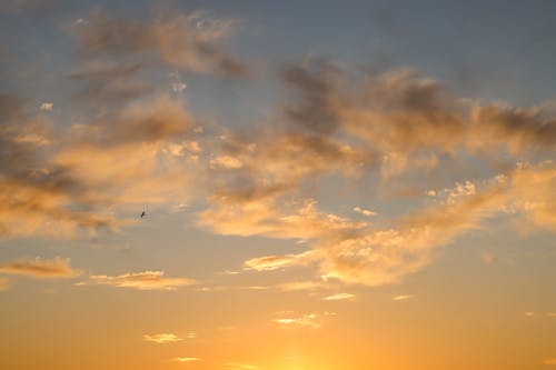 太陽, 斯坦福德, 日出 的 免費圖庫相片