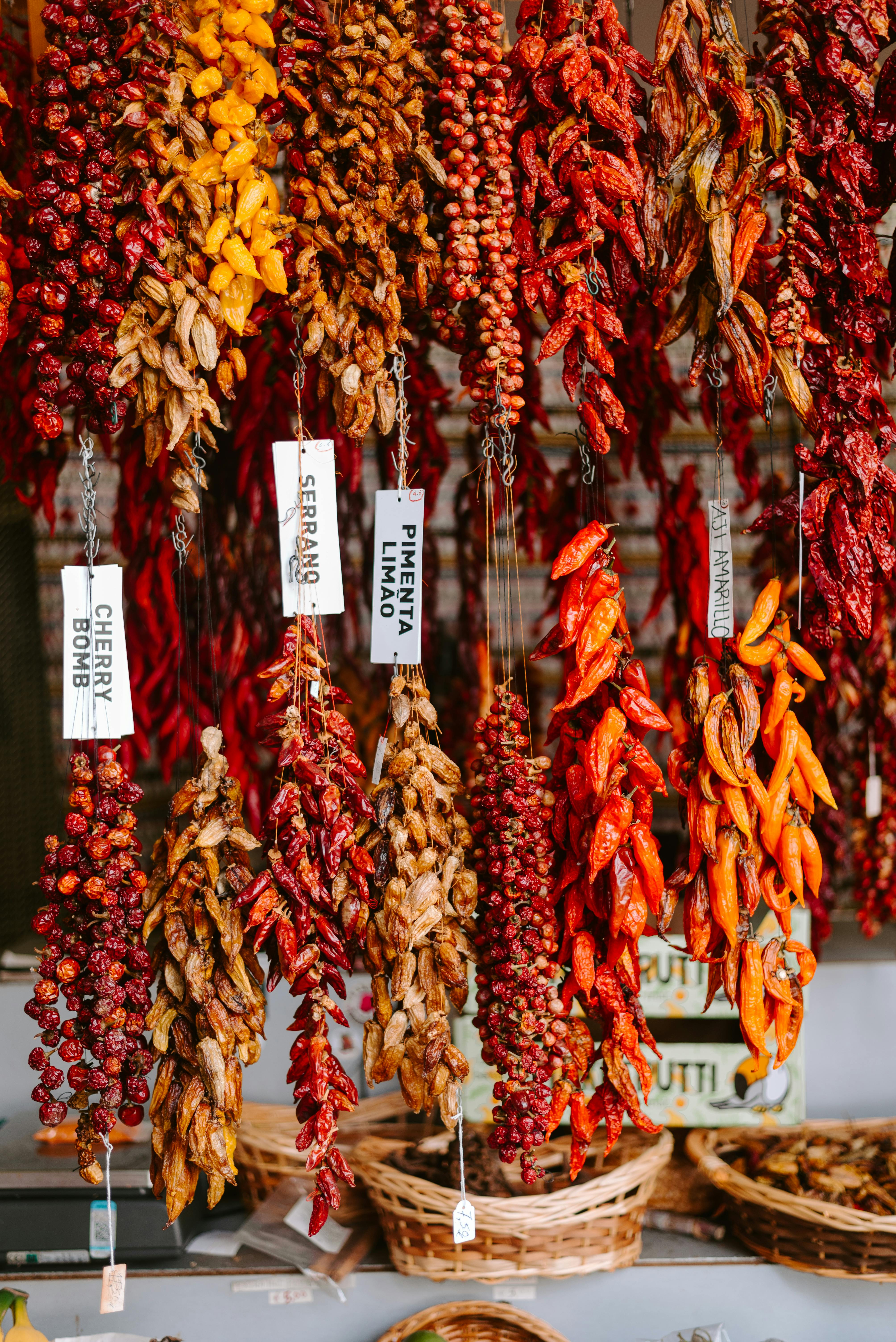 Vibrant arrangement of dried peppers hanging in a Portuguese market, showcasing local spices.