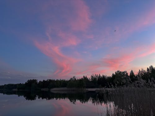 A pink sky over a lake with a tree in the foreground