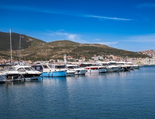 A marina with many boats docked in the water