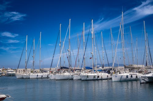 A group of sailboats docked in a marina