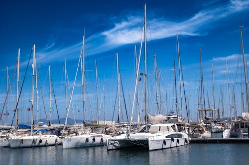 A group of sailboats docked in a marina