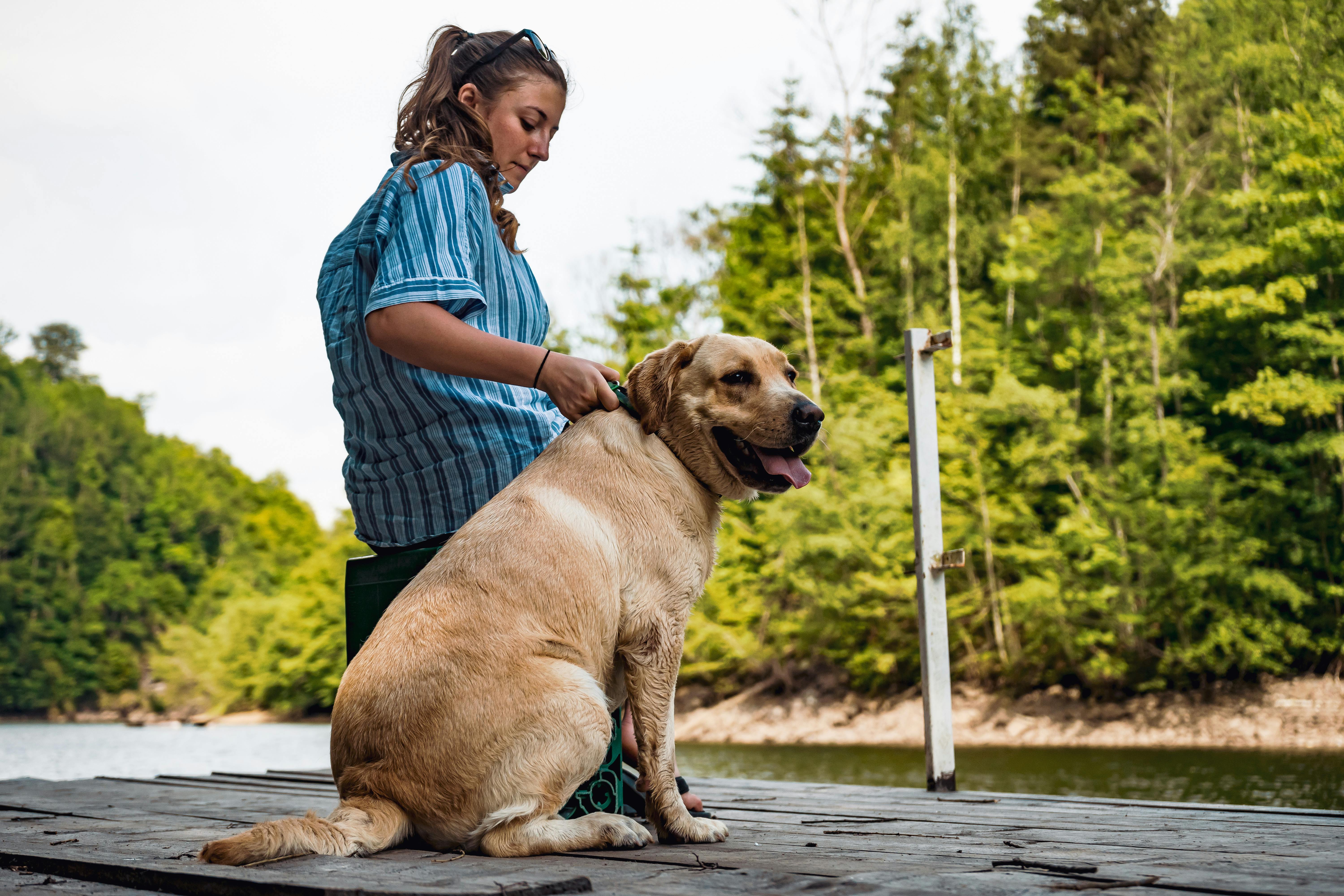一个女人带着她的狗，在平静湖边的码头上，四周环绕着郁郁葱葱的绿色植物