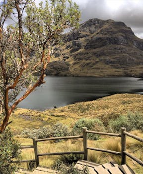 Beautiful view of a serene mountain lake near Cuenca, Ecuador with lush greenery and elevated path.
