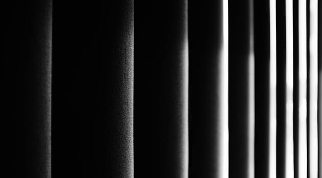 Moody black and white photo emphasizing vertical blinds with soft light and shadows.