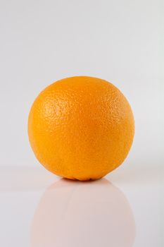 A vibrant orange standing on a white reflective background, showcasing its fresh texture.
