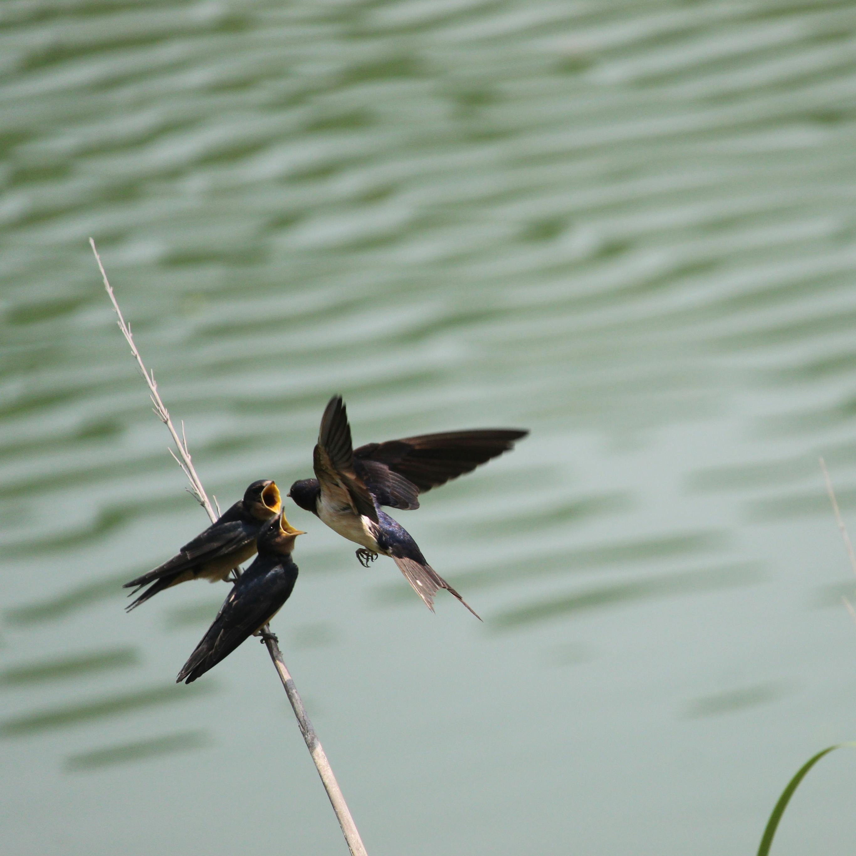 Piles of discarded electronic waste in a recycling facility