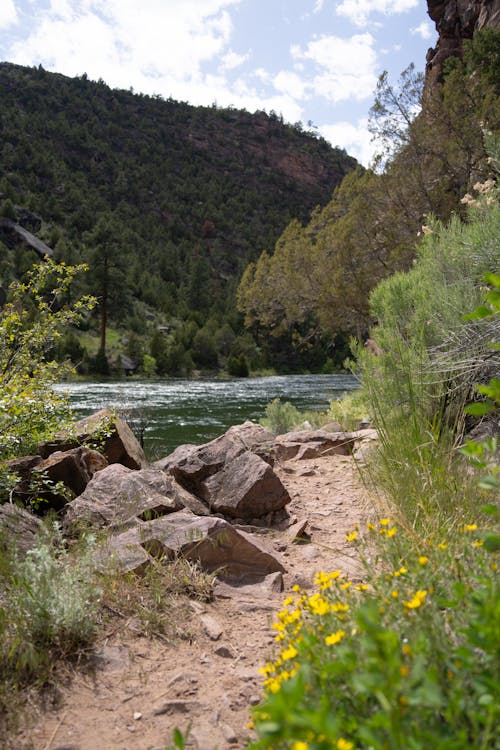 Free stock photo of blue ribbon, blue ribbon fishing, canyon