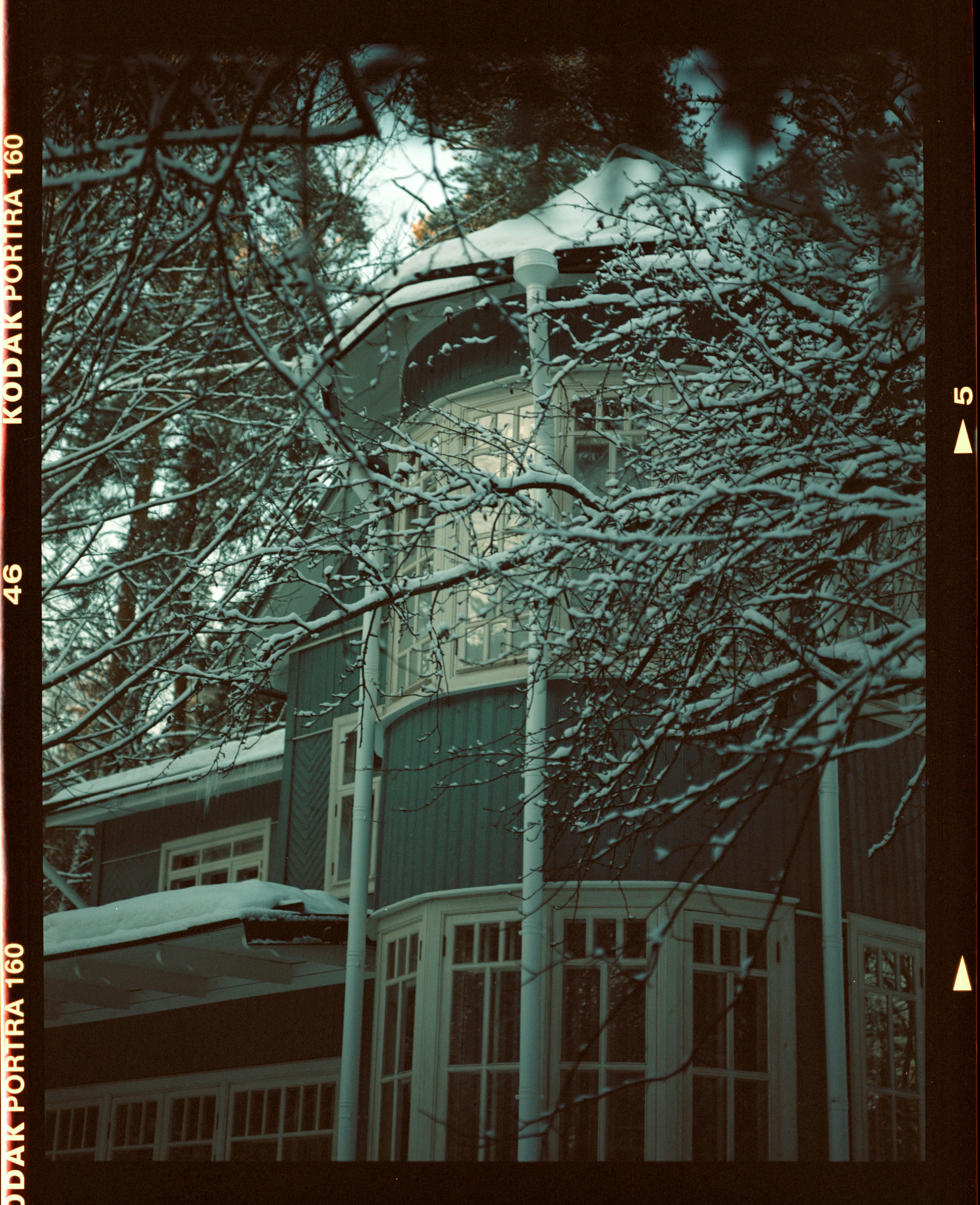 Ücretsiz açık hava, açık sahne, ağaçlar içeren Ücretsiz stok fotoğraf Stok Fotoğraflar