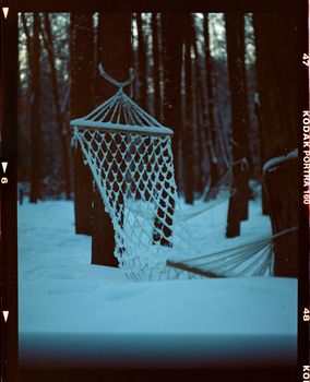 Serene winter scene of a snow-covered hammock in a forest. Tranquil and untouched.