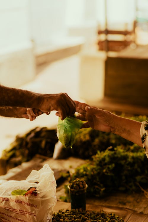 Foto profissional grátis de adulto, alimento, aumentar