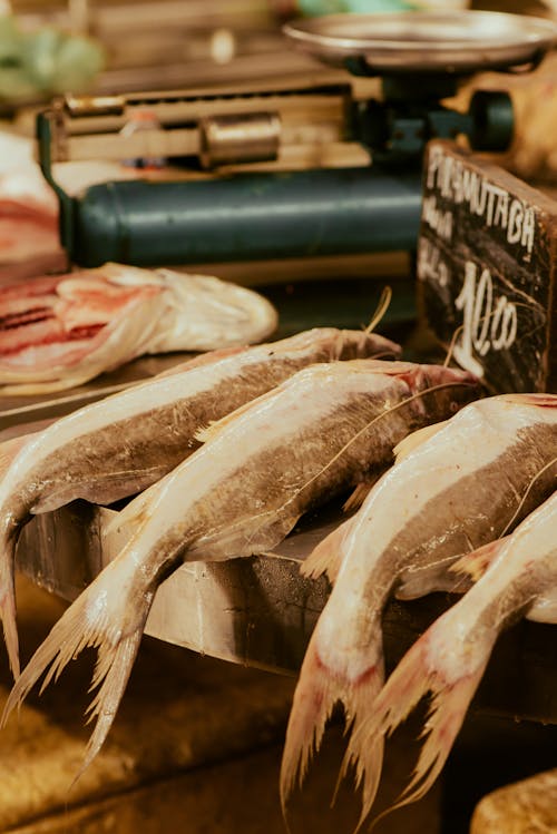 A fish market with a sign that says fish