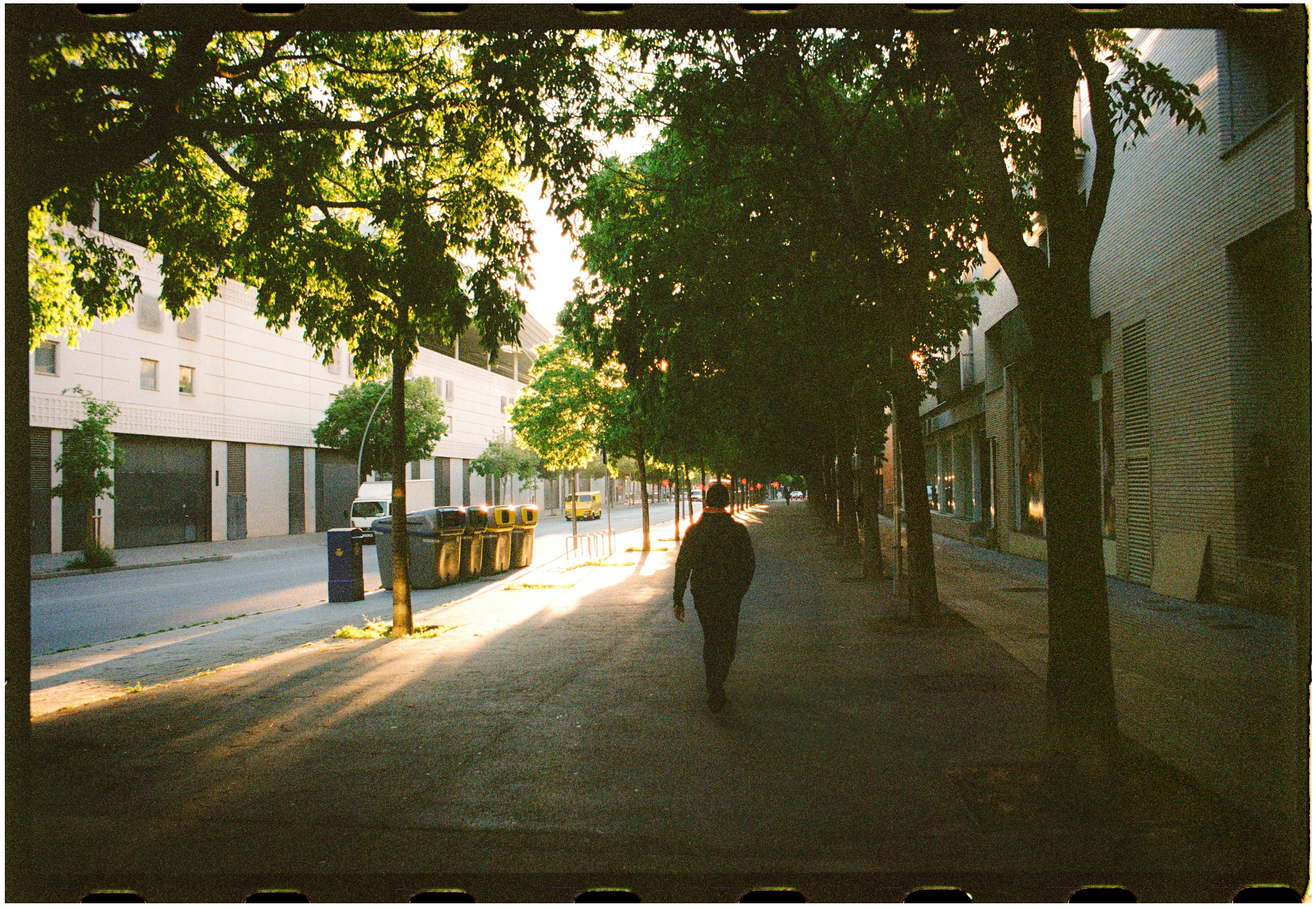 morning dog-walk on tree-lined street - pet friendly apartments uptown