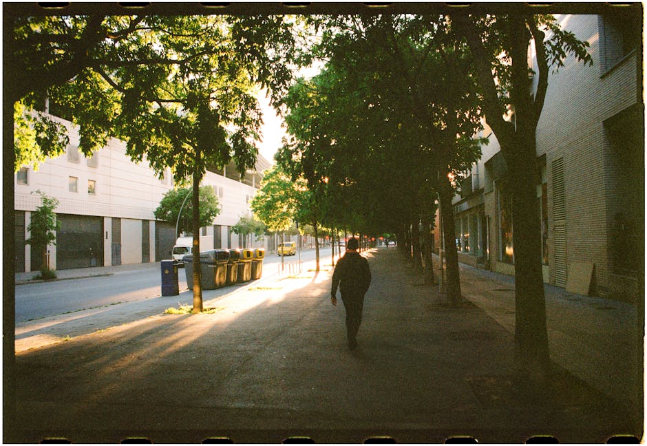 morning dog-walk on tree-lined street - pet friendly apartments uptown morning dog-walk on tree-lined street - pet friendly apartments uptown