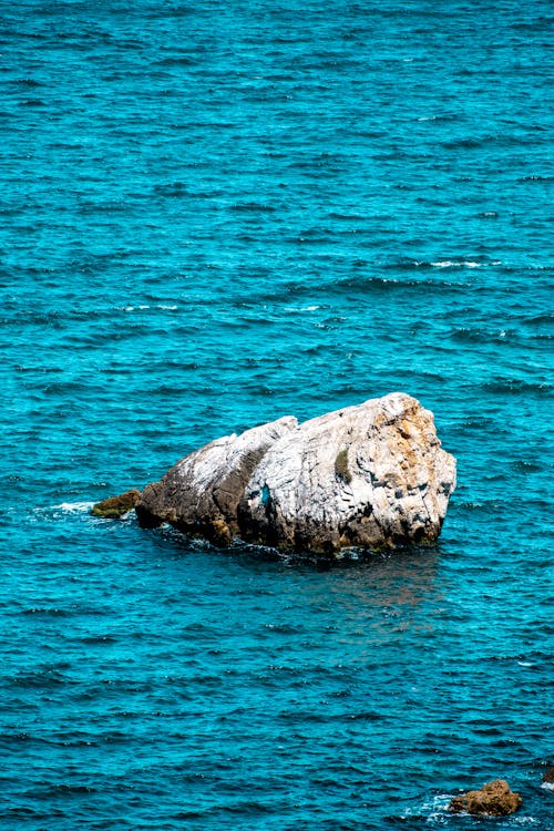 A rock in the ocean with a bird on it
