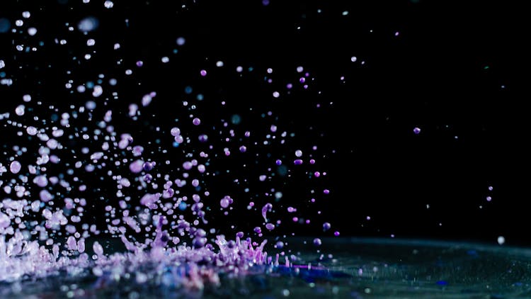 Purple Paint Splatter Photo