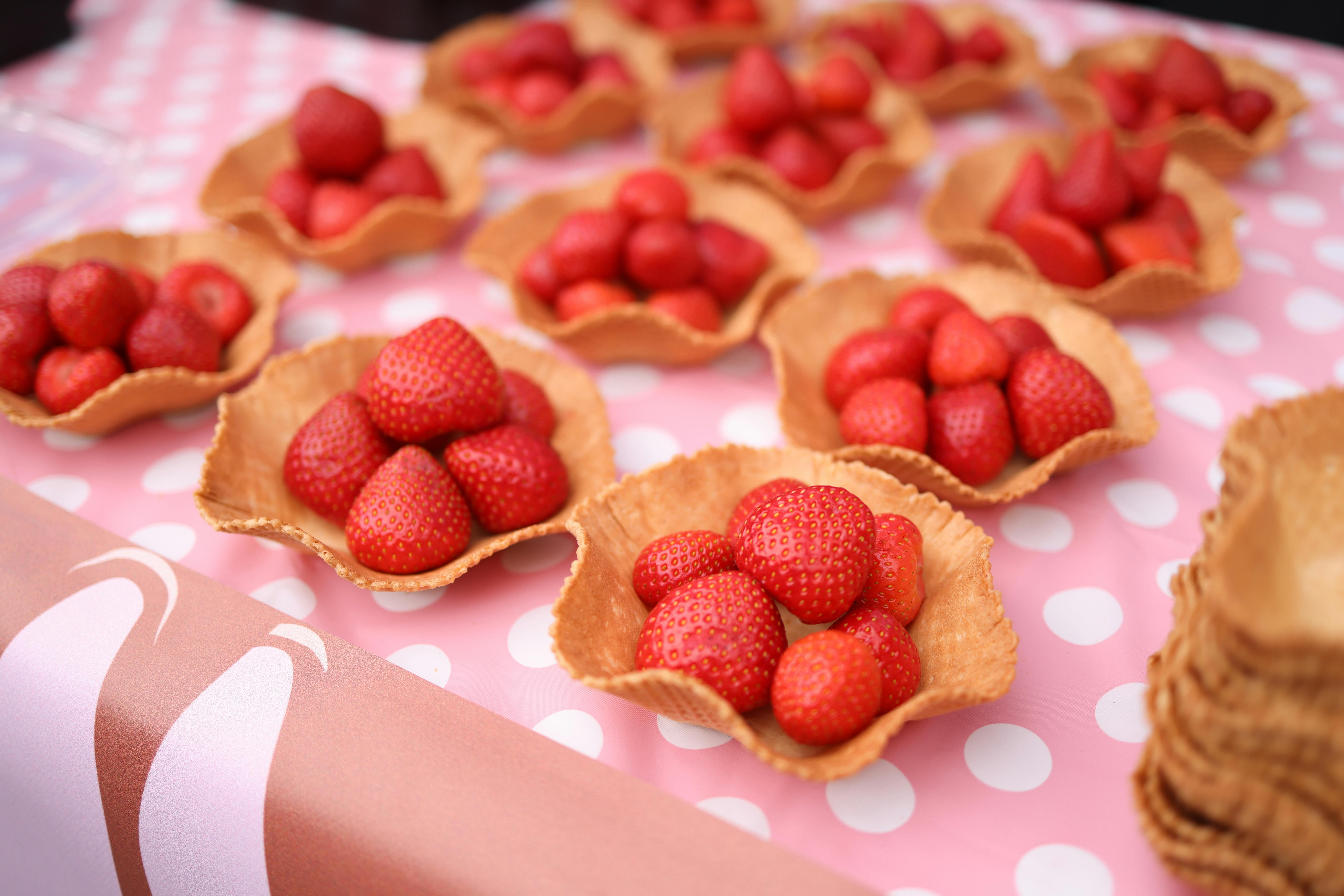 논산 딸기축제 image 2