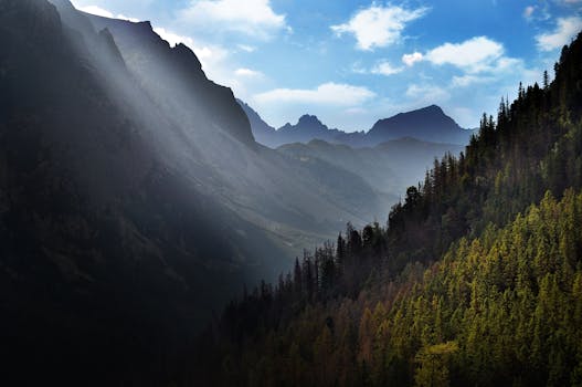 阳光透过薄雾，映照出戏剧性的山地景观，凸显了树木