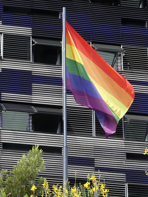 Drapeau arc en ciel "LGBTQ"