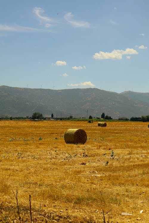 gökyüzü ve tarla