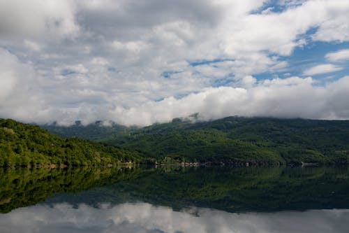 açık hava, ahşap, arazi içeren Ücretsiz stok fotoğraf