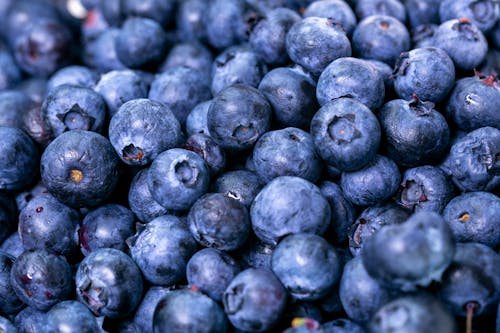 Free Close-Up Photo of Blueberries Stock Photo
