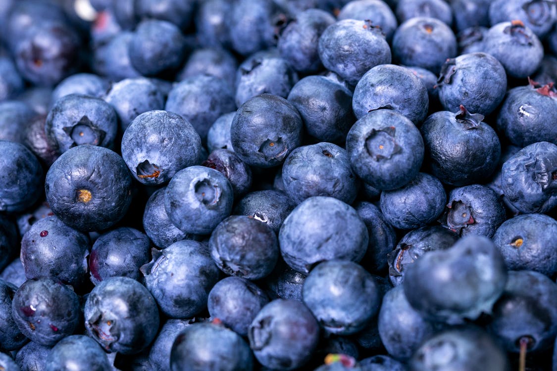 Close-Up Photo of Blueberries