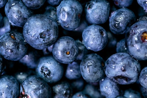 Free Close-Up Photo of Blueberries Stock Photo