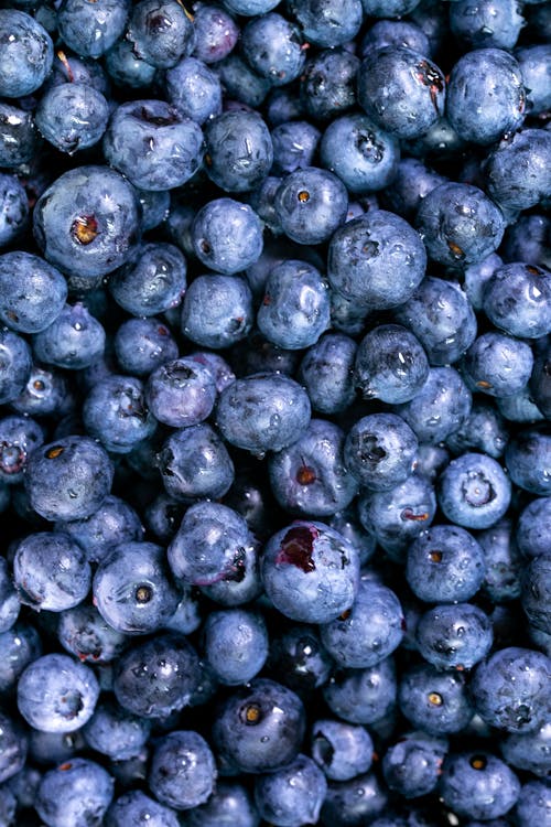 Free Close-Up Photo of Blueberries Stock Photo