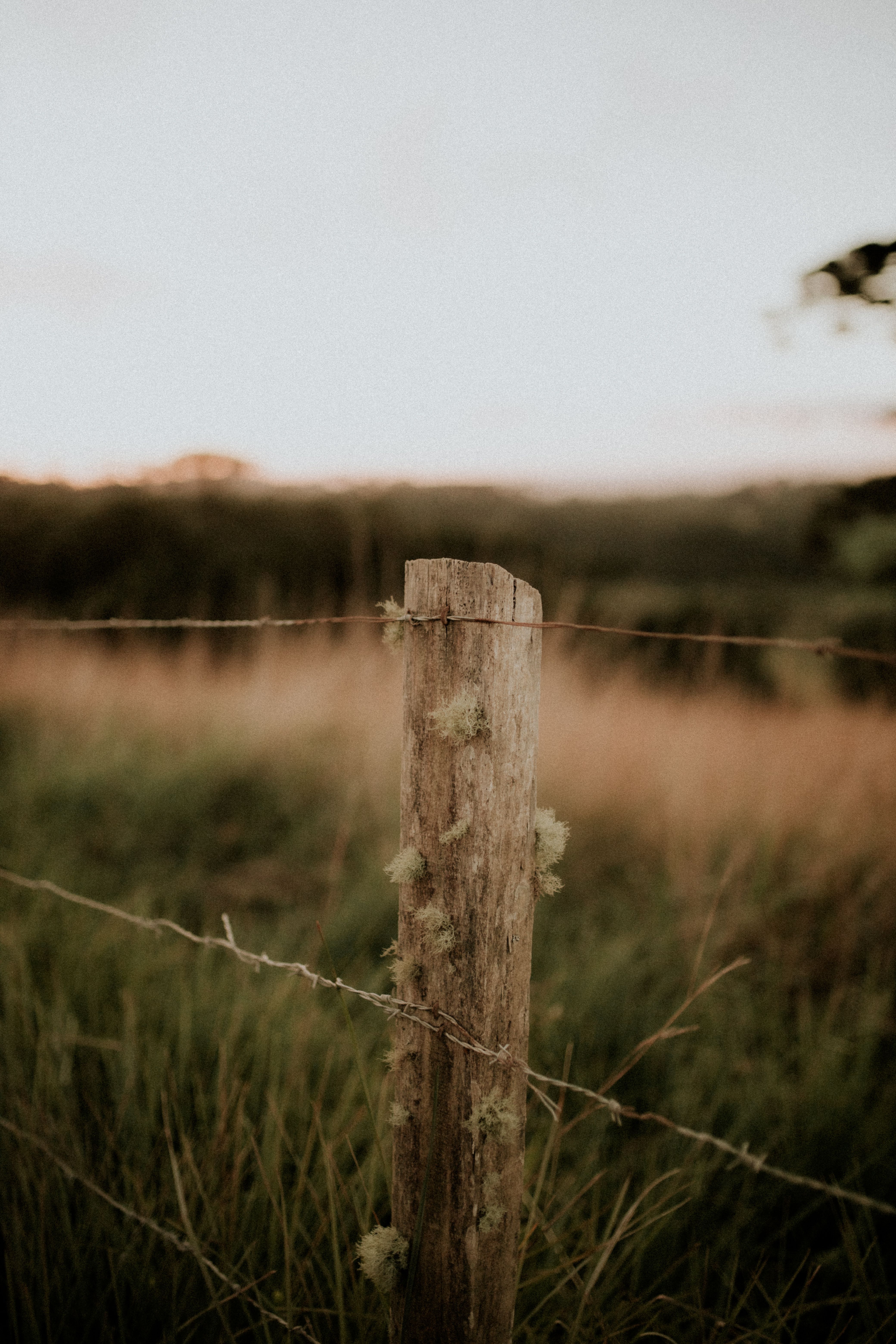 A fence post set in the ground - The Word of Life, The Deep Study