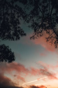 Tranquil dawn sky with silhouetted tree branches reflecting the beauty of early morning.