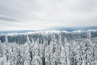 冬日阴云密布的天空下，白雪覆盖着松树与山脉