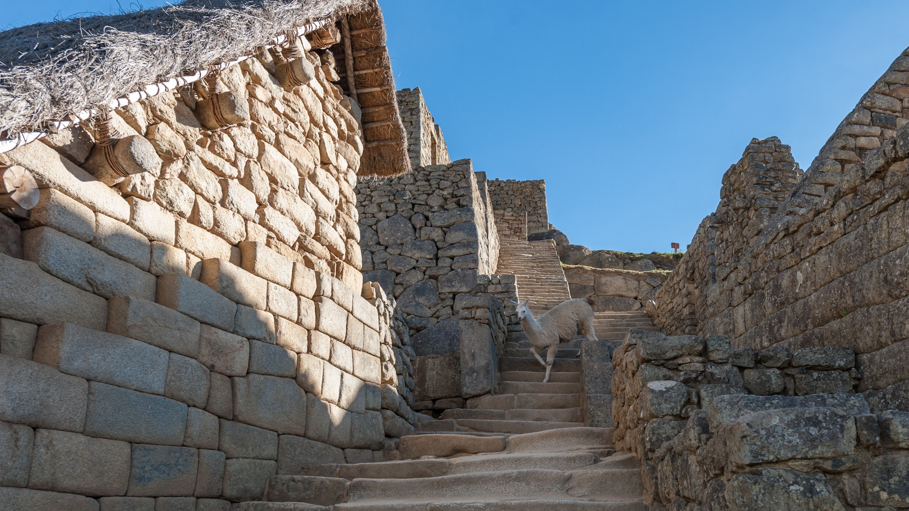 Inca Architecture Photos, Download The BEST Free Inca Architecture ...