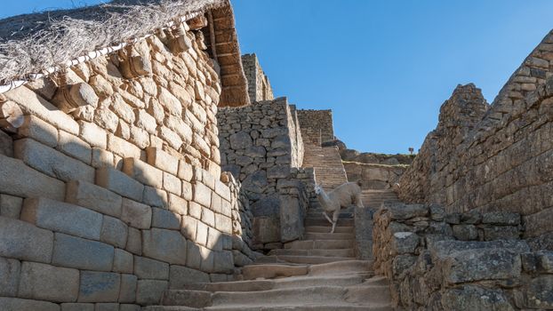 Ollantaytambo fortress and town — Machu Picchu